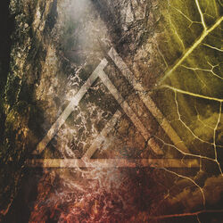 Cover of Connect