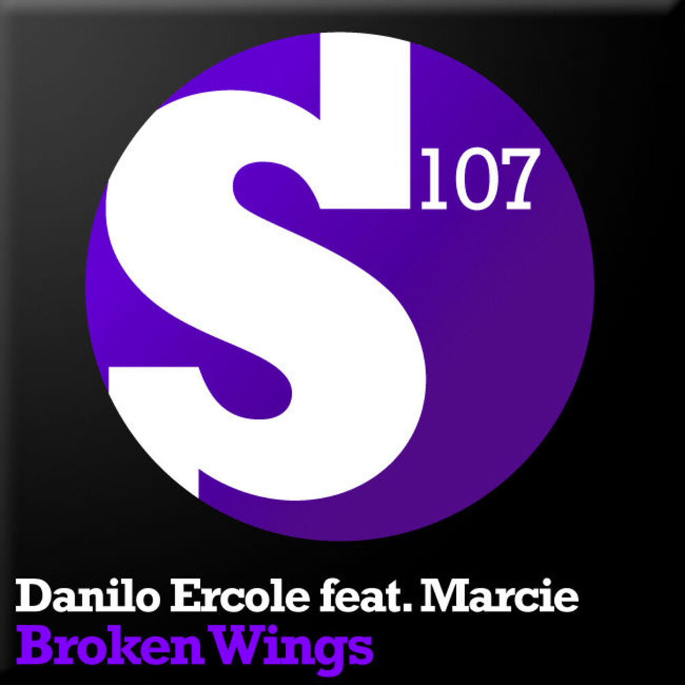 Picture of Broken Wings