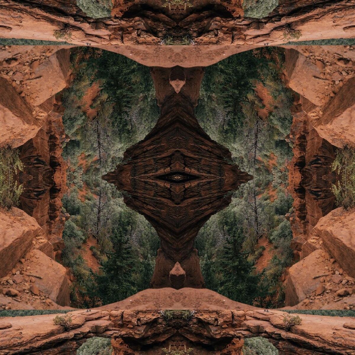 Album cover of The Wisdom : The Wisdom