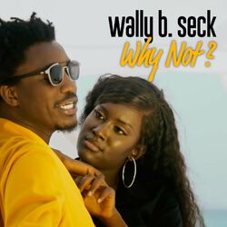 Cover of Why not