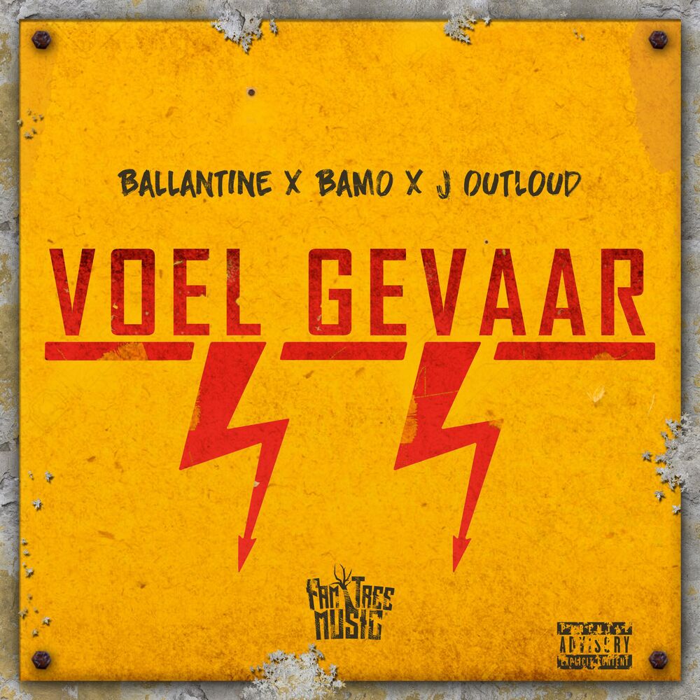 Picture of Voel Gevaar