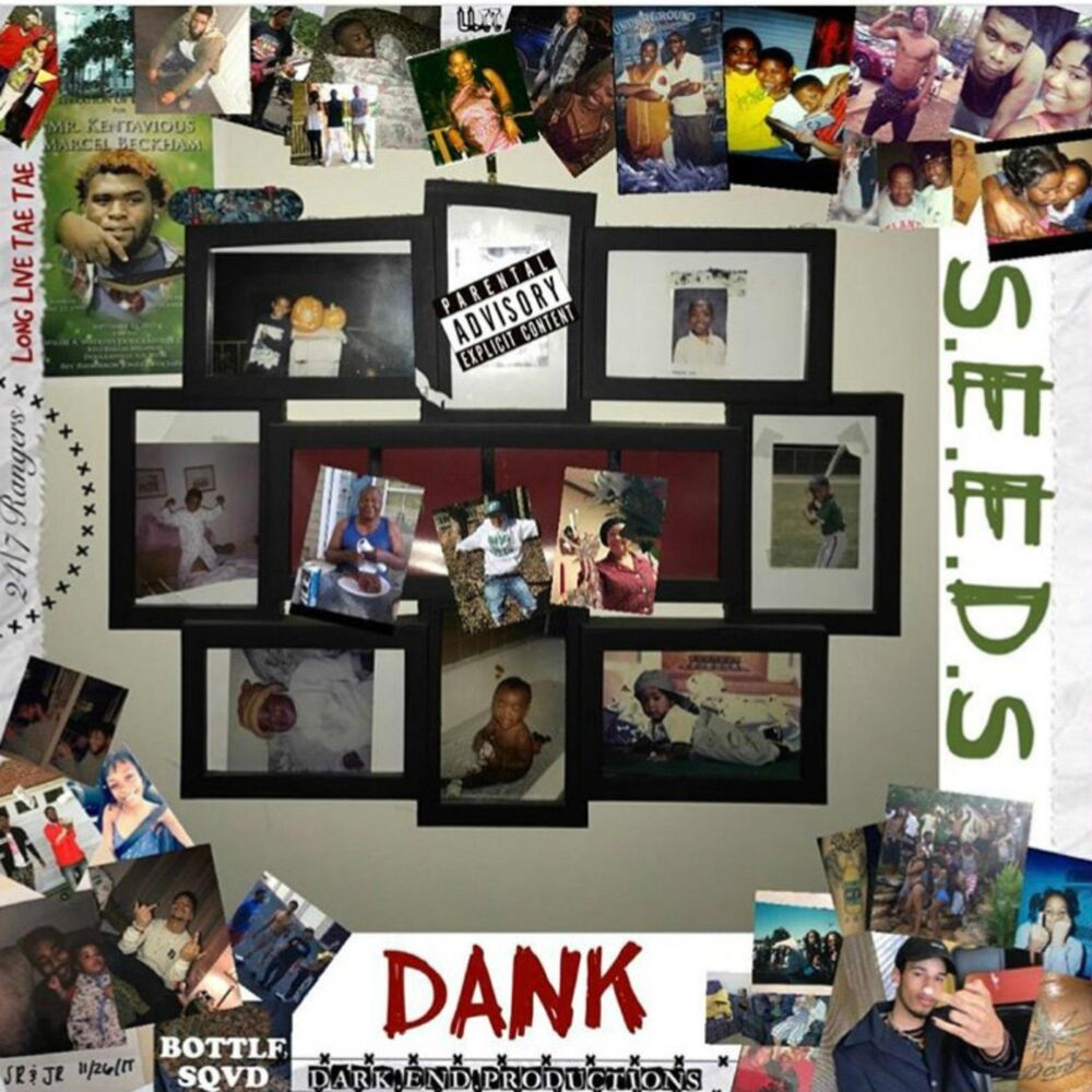 Picture of S.E.E.D.S