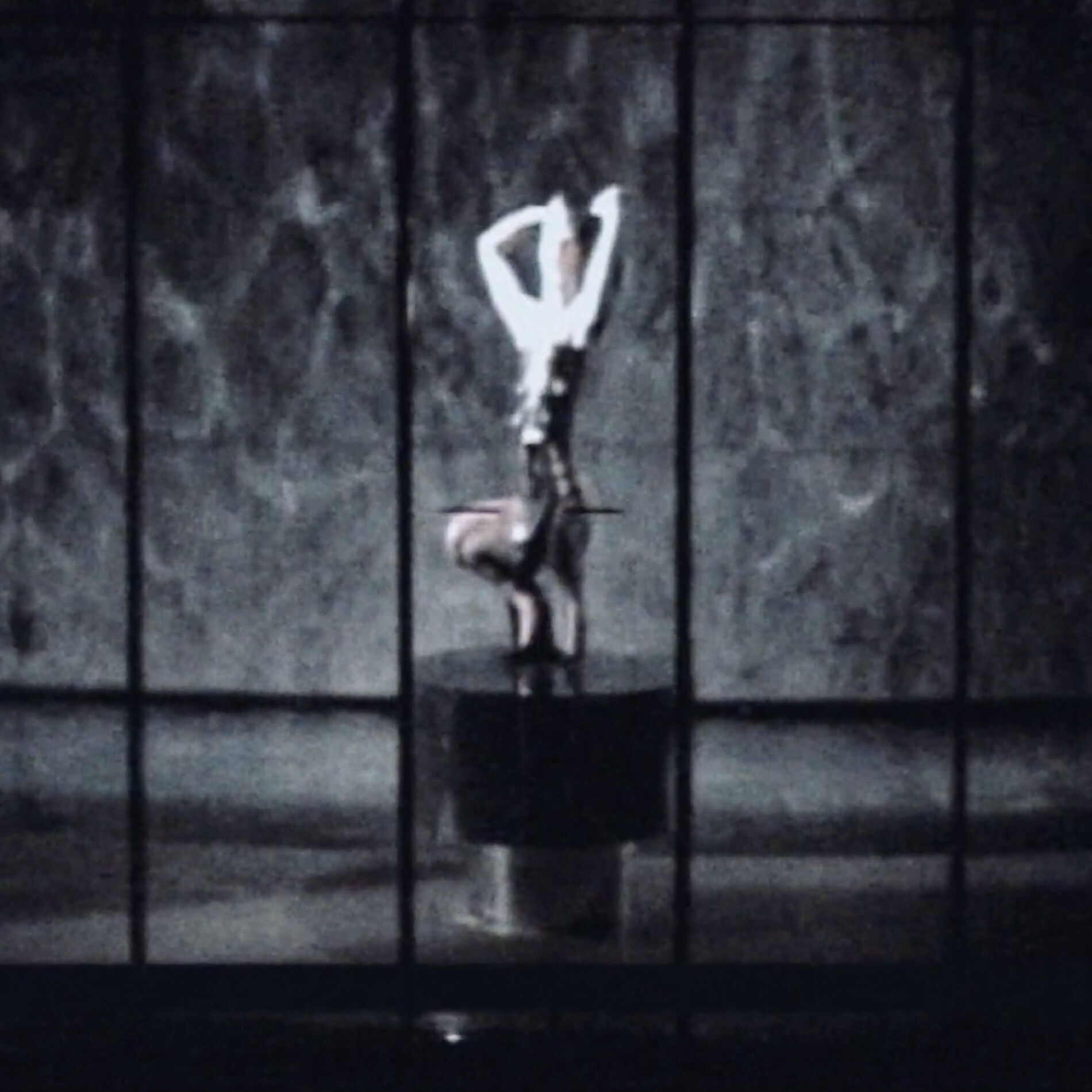 Album cover of Cayó