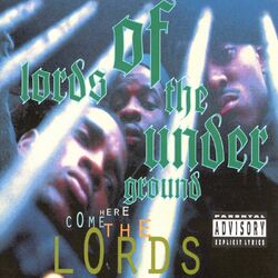 Cover of Here Come The Lords