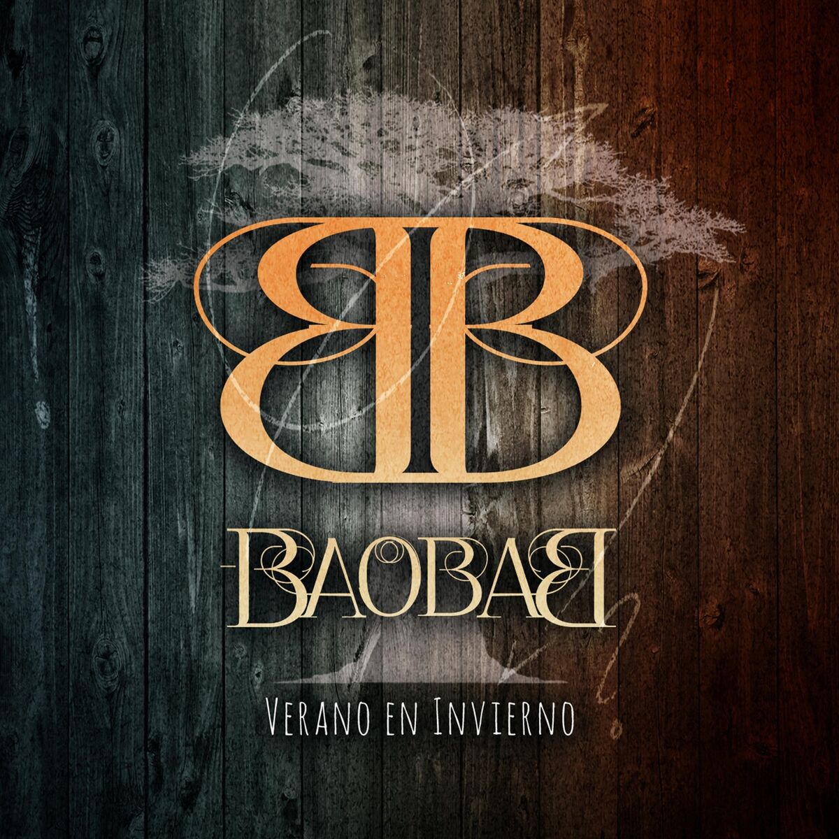 Album cover of Verano en Invierno