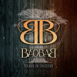 Cover of Verano en Invierno