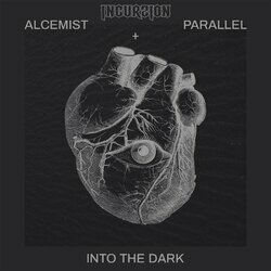Cover of Into The Dark