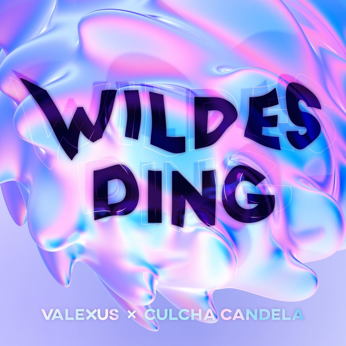Album cover of WILDES DING