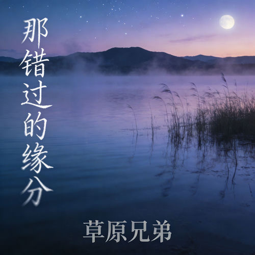 那错过的缘分 (那时陪在身边的朋友语录版)