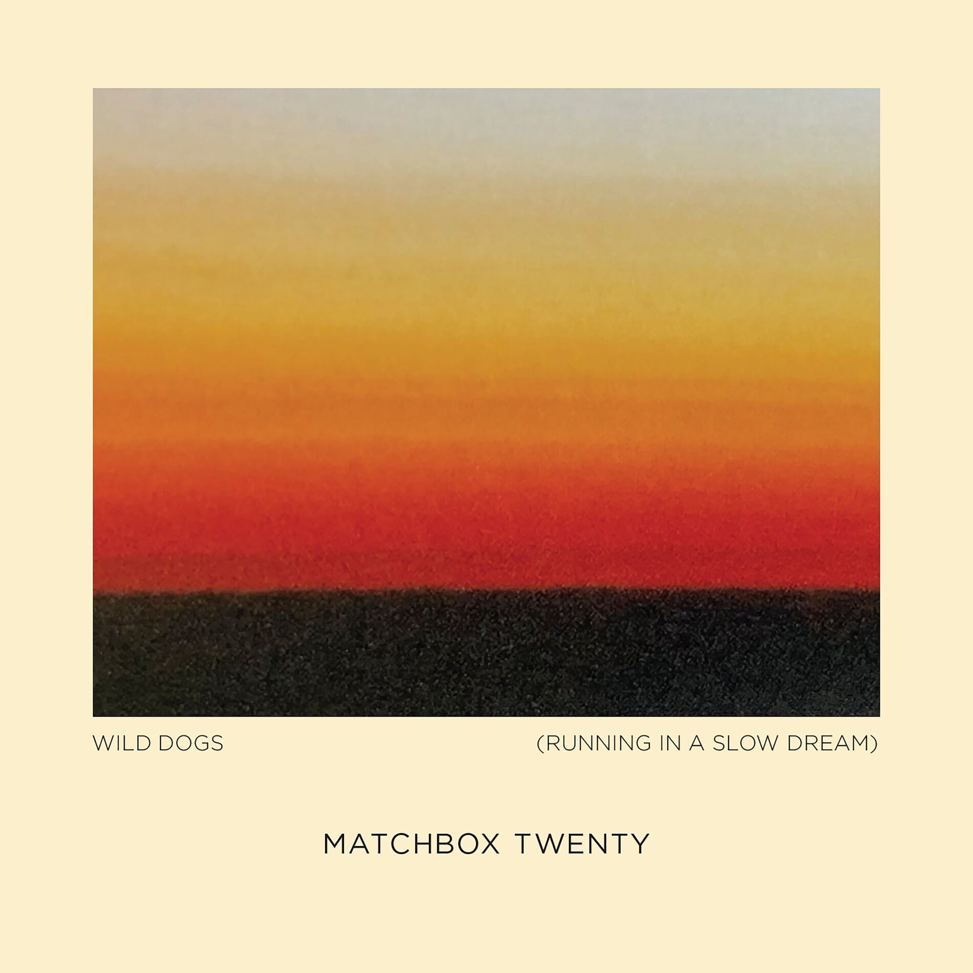Album cover of Wild Dogs (Running in a Slow Dream)