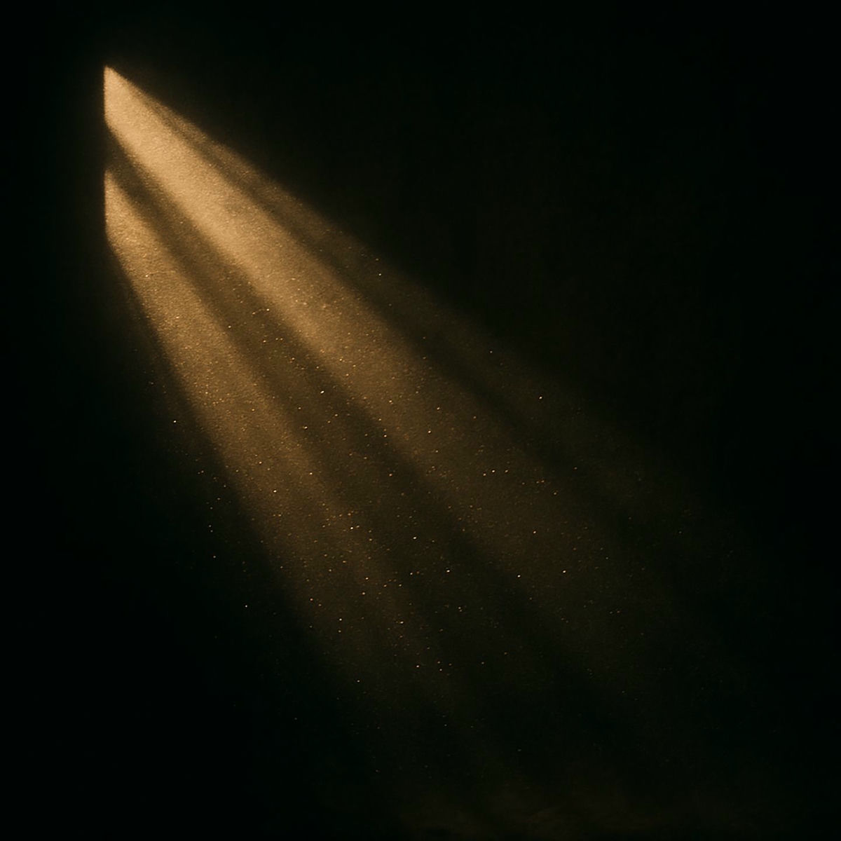 Album cover of The Afternoon Light