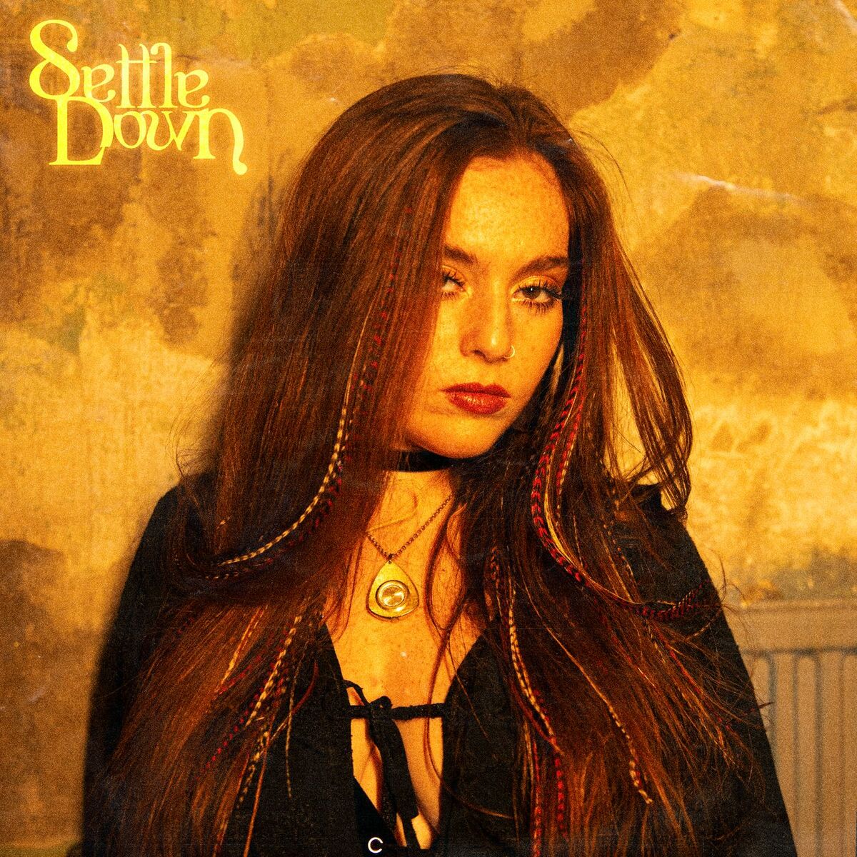 Album cover of Settle Down