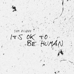 Cover of It's Ok to Be Human