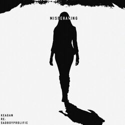 Cover of misbehaving