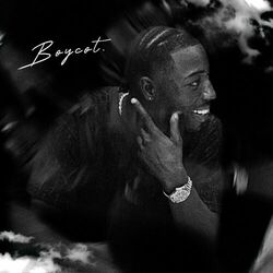 Cover of Boycot