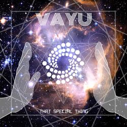 Cover of That Special Thing