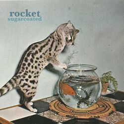 Cover of Sugarcoated