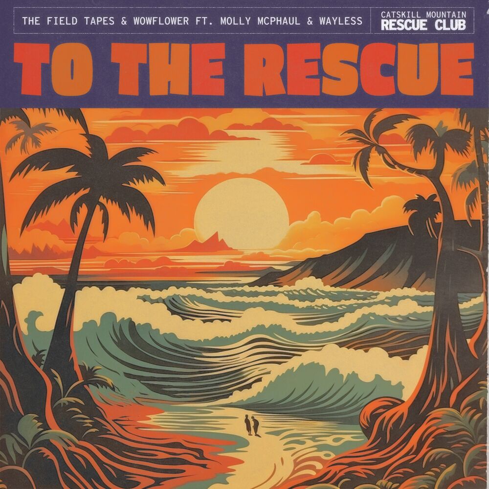 Picture of To The Rescue