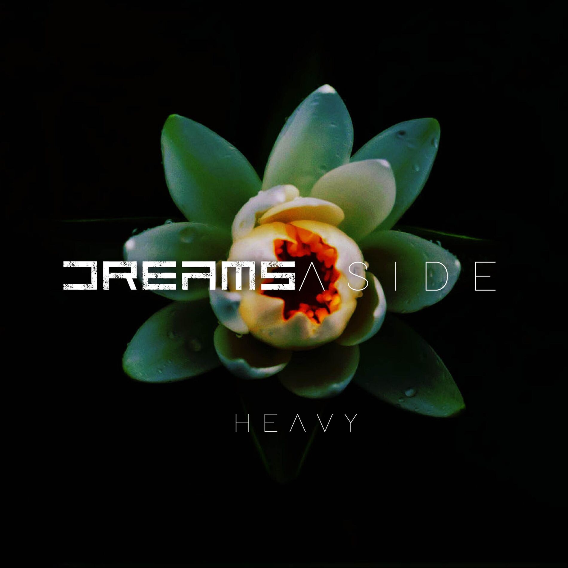 Album cover of HEAVY