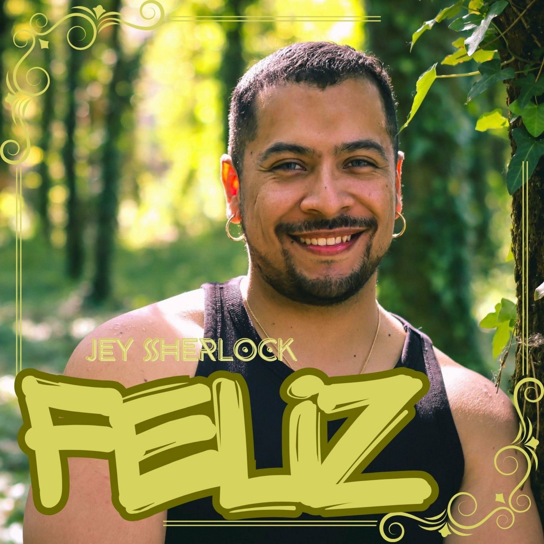 Album cover of Feliz (888 HZ)