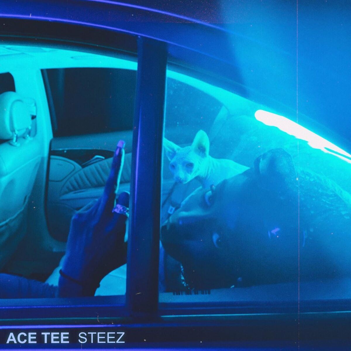 Album cover of STEEZ