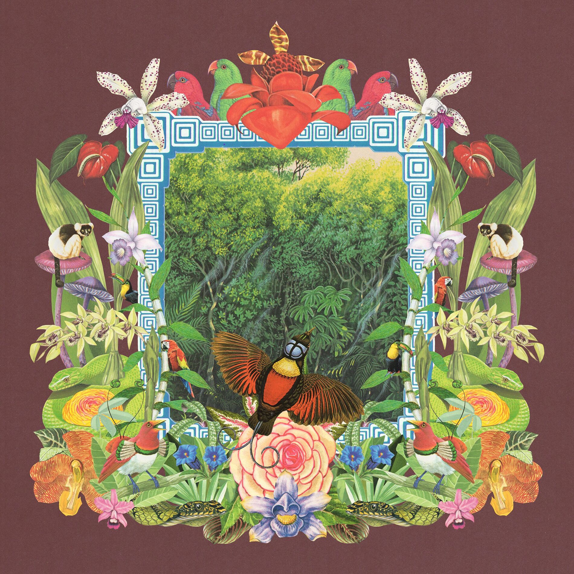 Album cover of Botanica Dream