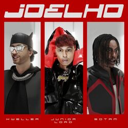 Cover of Joelho