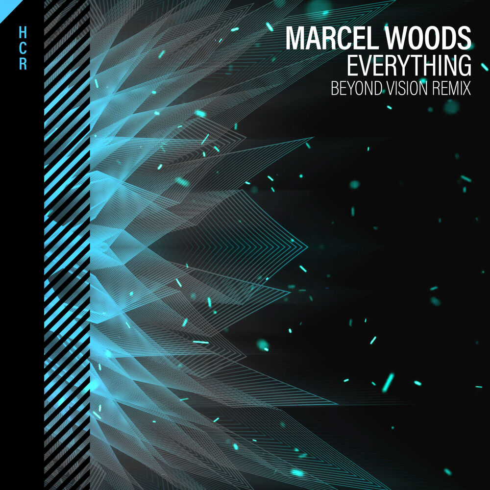 Picture of Everything (Beyond Vision Remix)