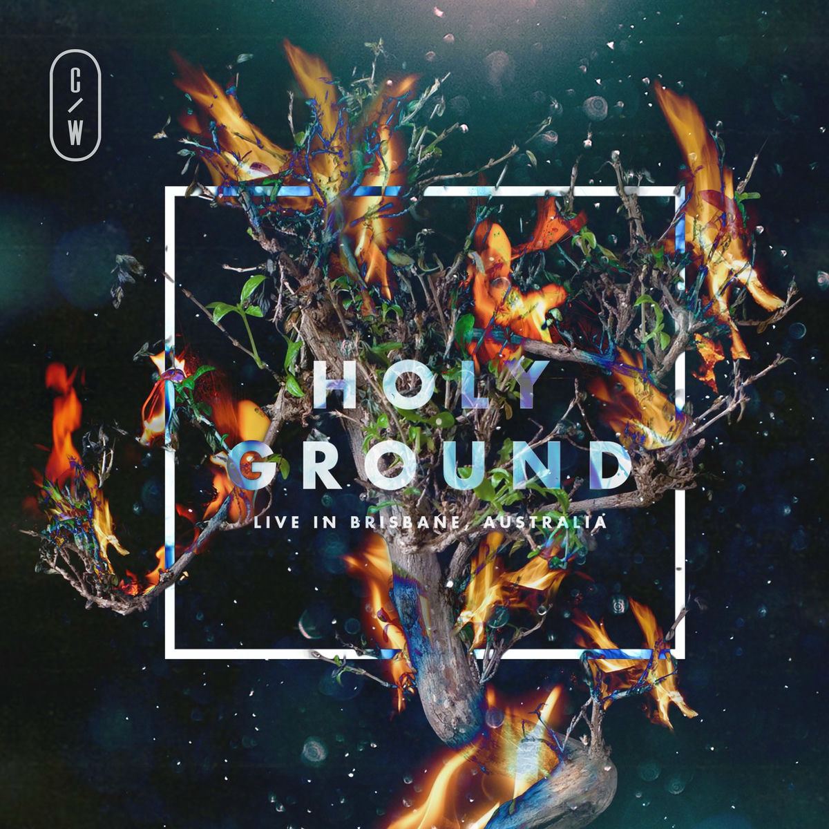 Album cover of The Ninety Nine