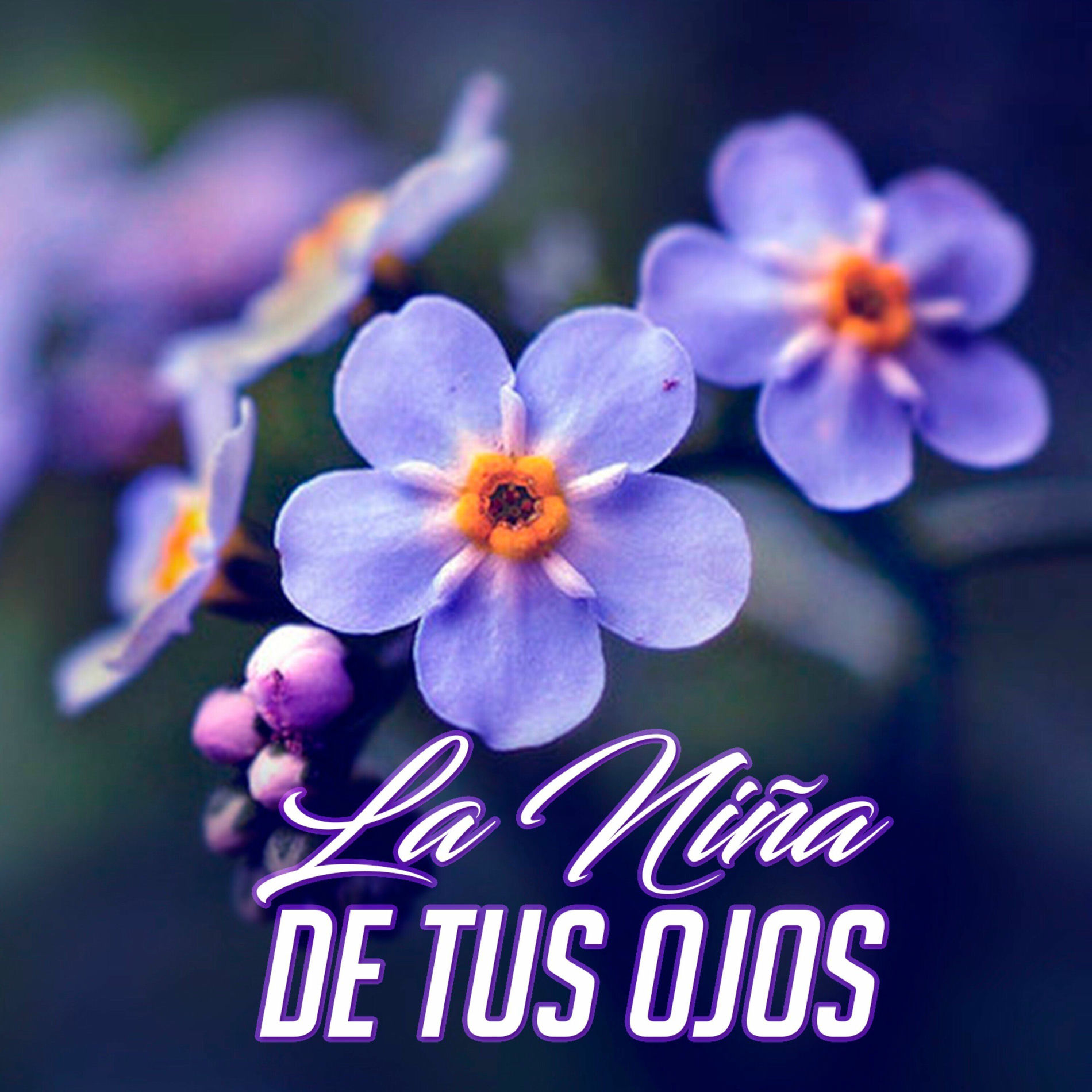 Album cover of Dios Sobre Todo