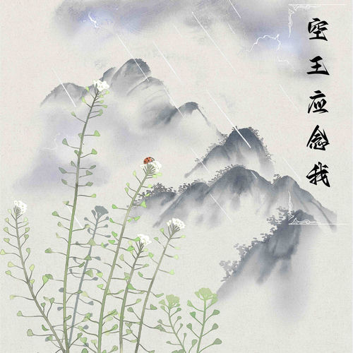 空王应念我