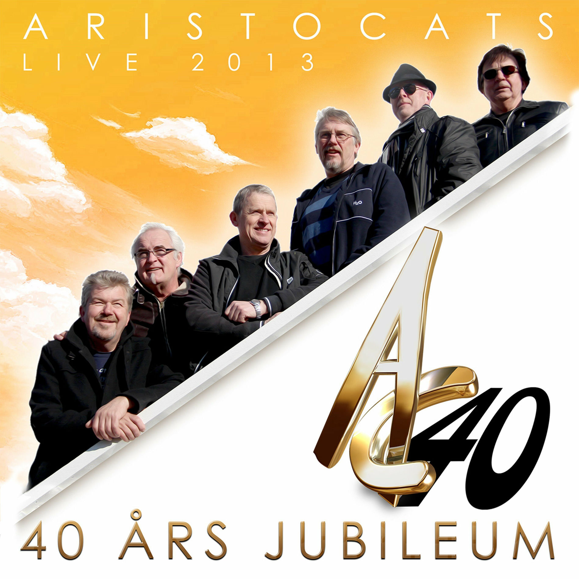 Album cover of Live 2013