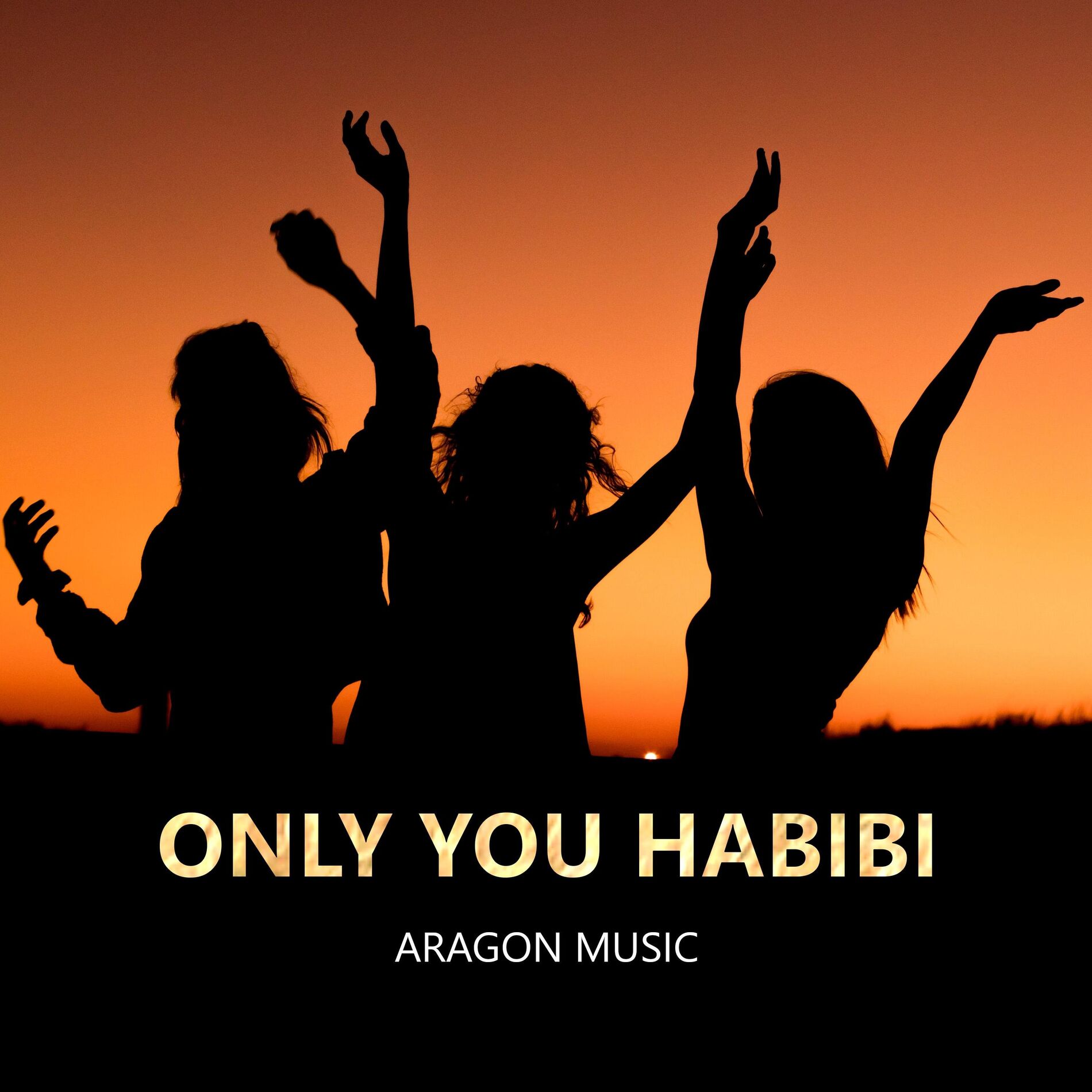 Album cover of Only You Habibi