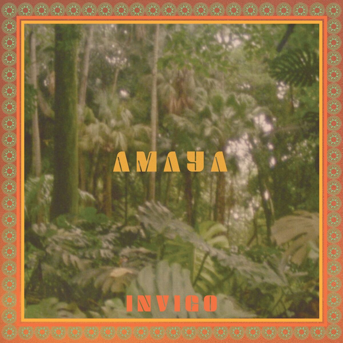 Album cover of Amaya