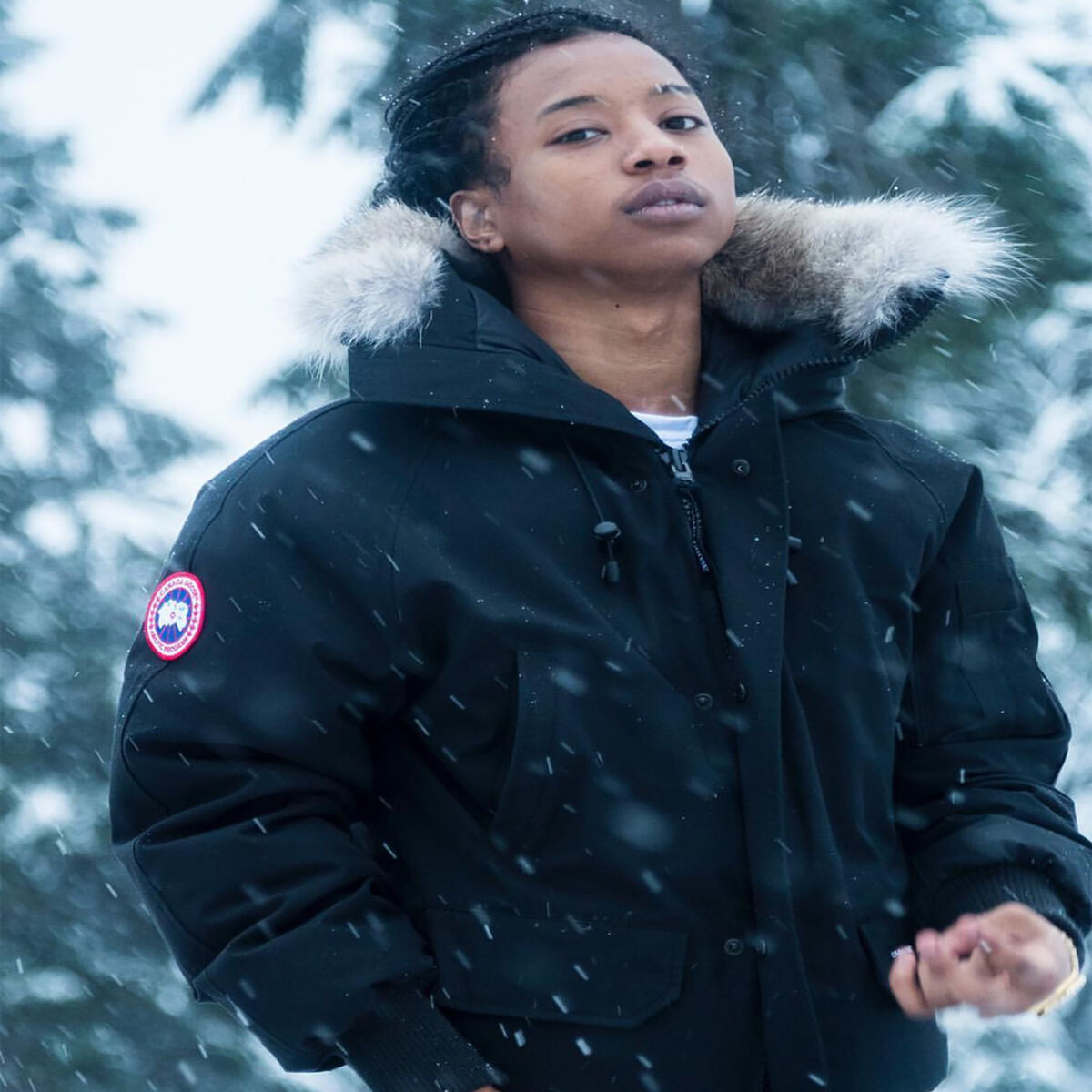 Album cover of Canada Goose