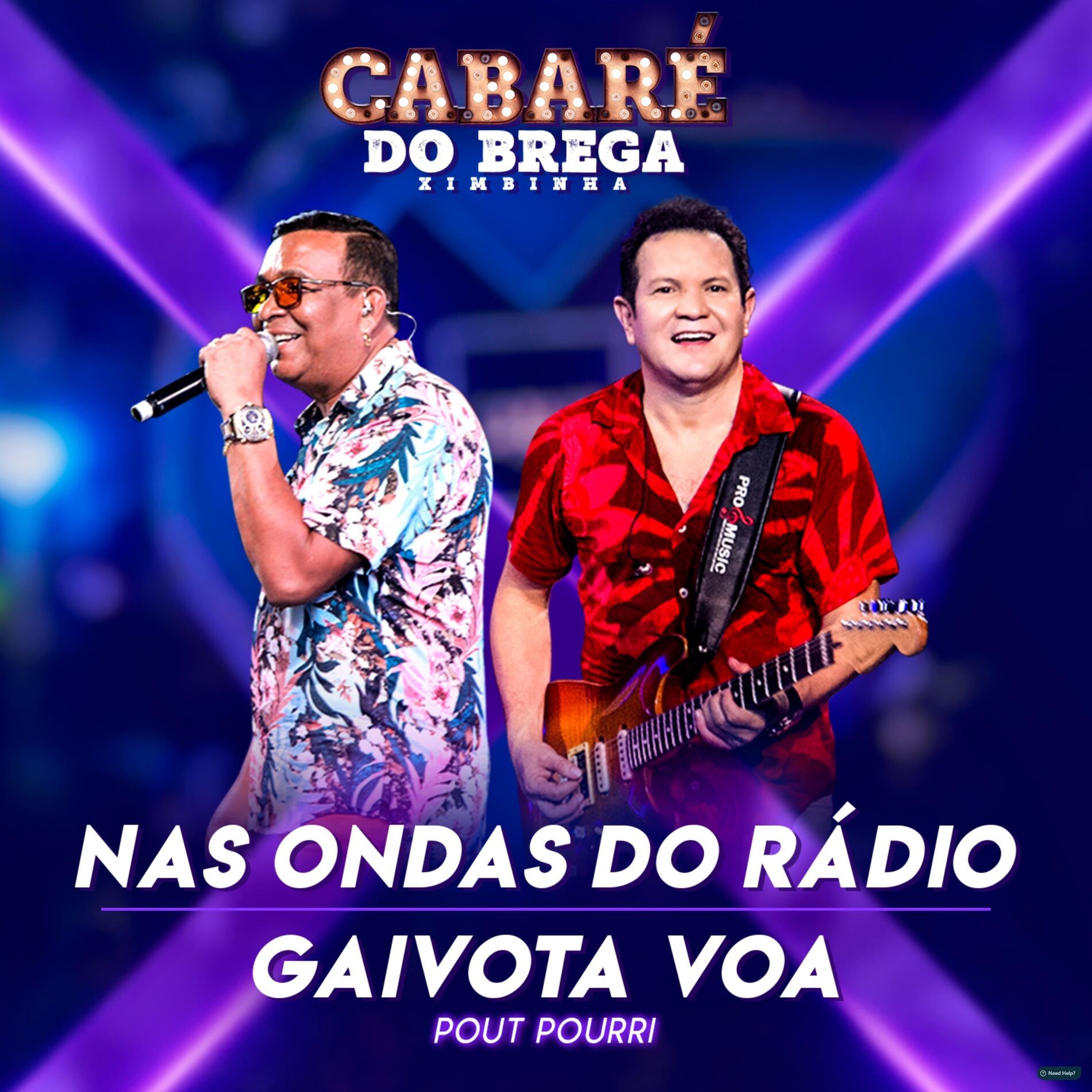 Album cover of Pout Pourri: Nas Ondas do Rádio / Gaivota Voa - Ao Vivo
