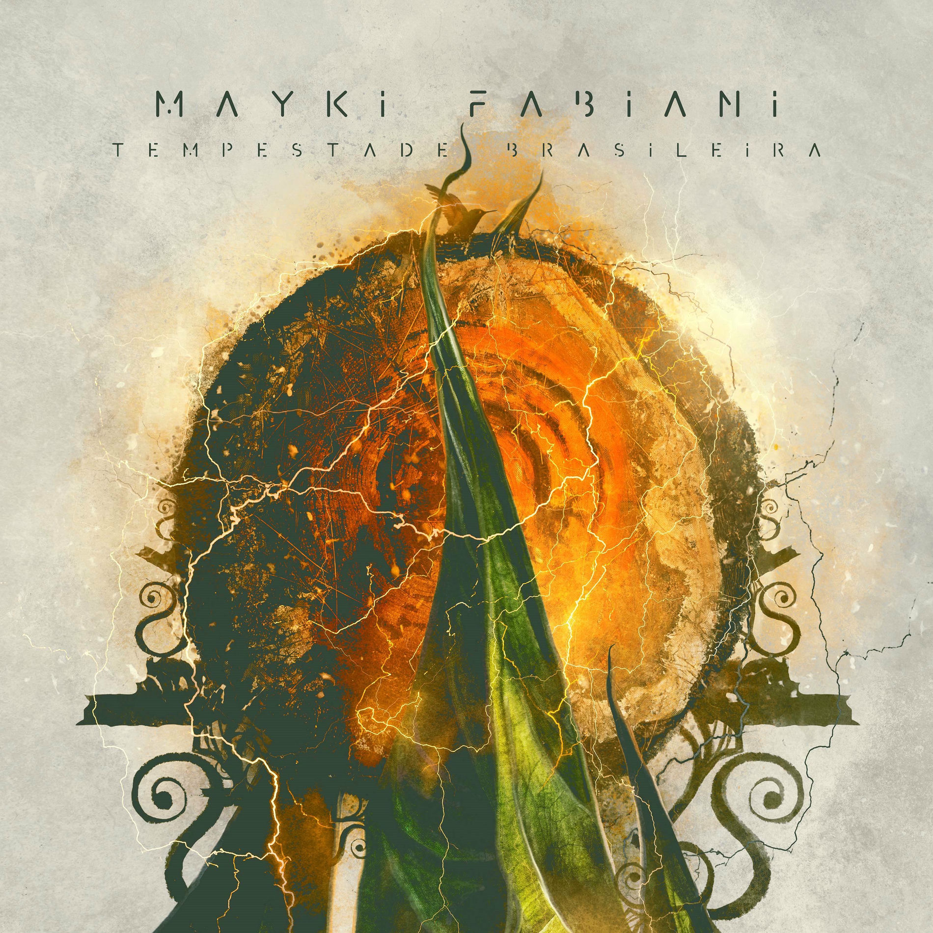Album cover of Tempestade Brasileira