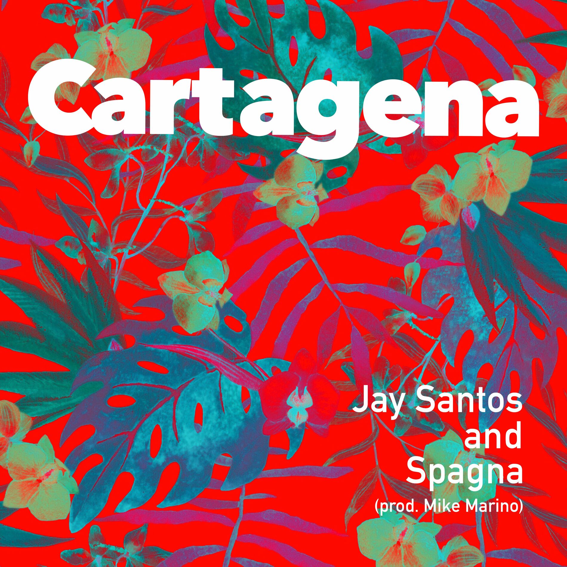 Album cover of Cartagena