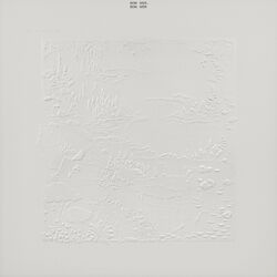 Cover of Bon Iver, Bon Iver (10th Anniversary Edition)