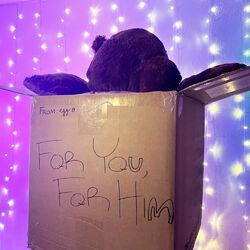 Cover of for you, for him