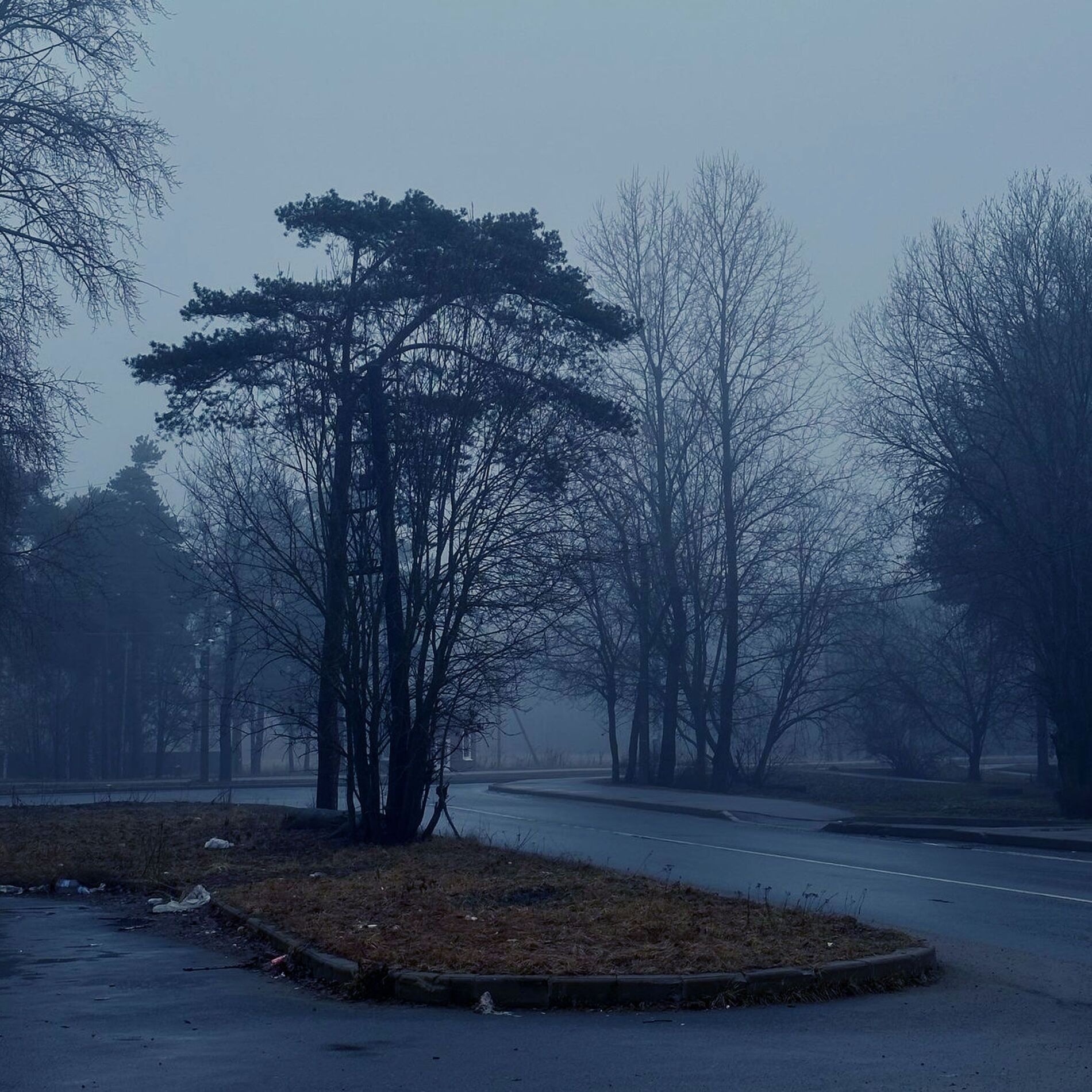 Album cover of still in memory