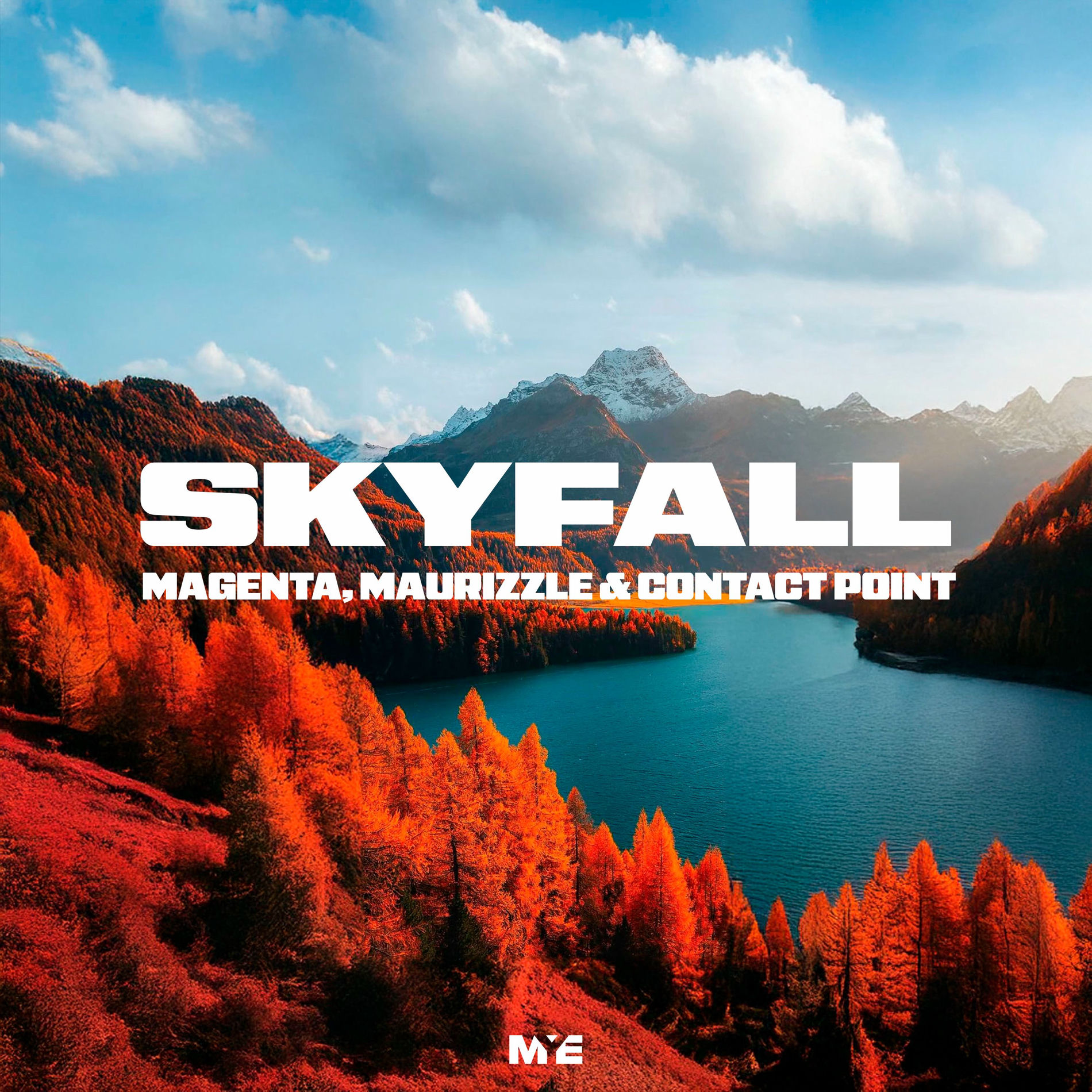 Album cover of Skyfall