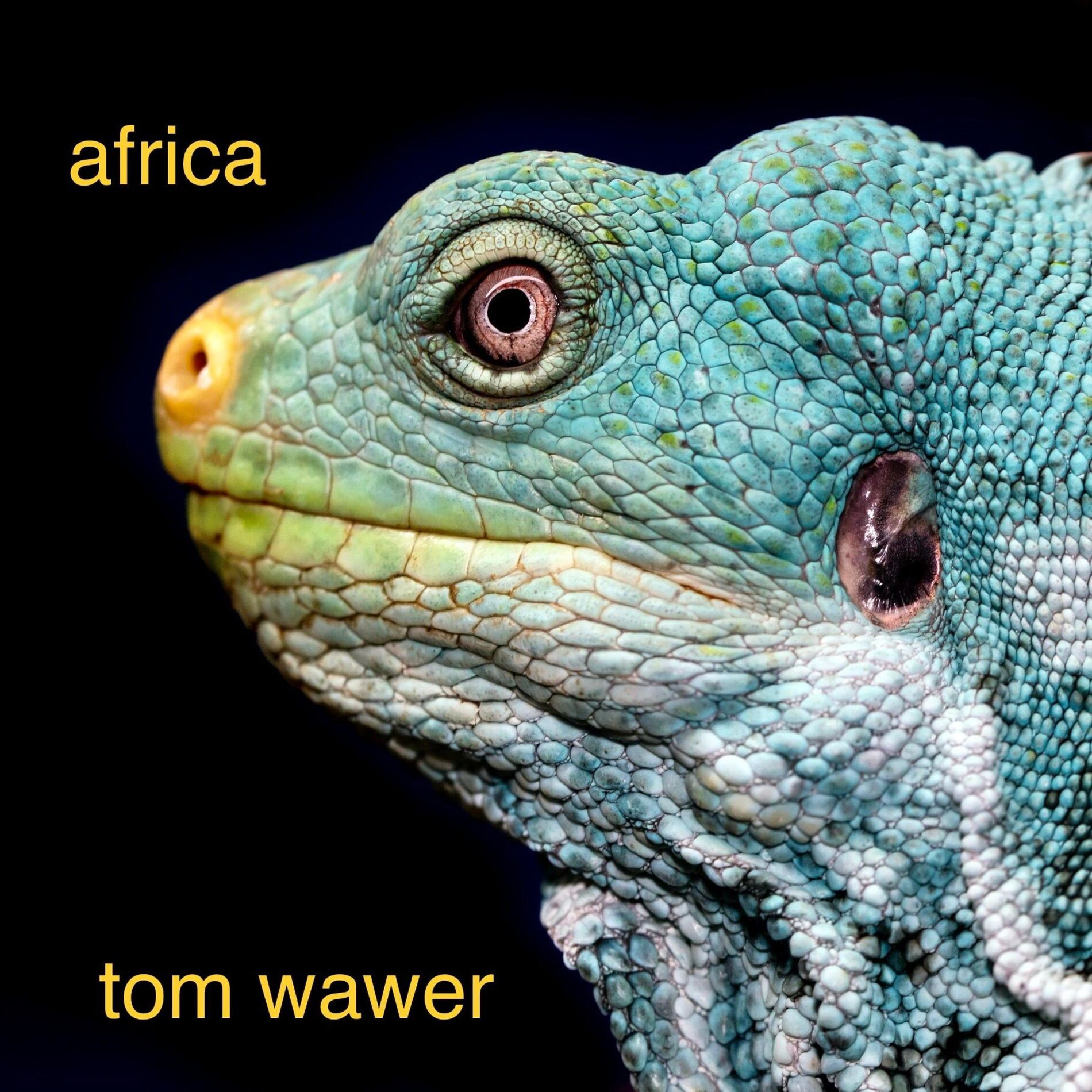 Album cover of africa