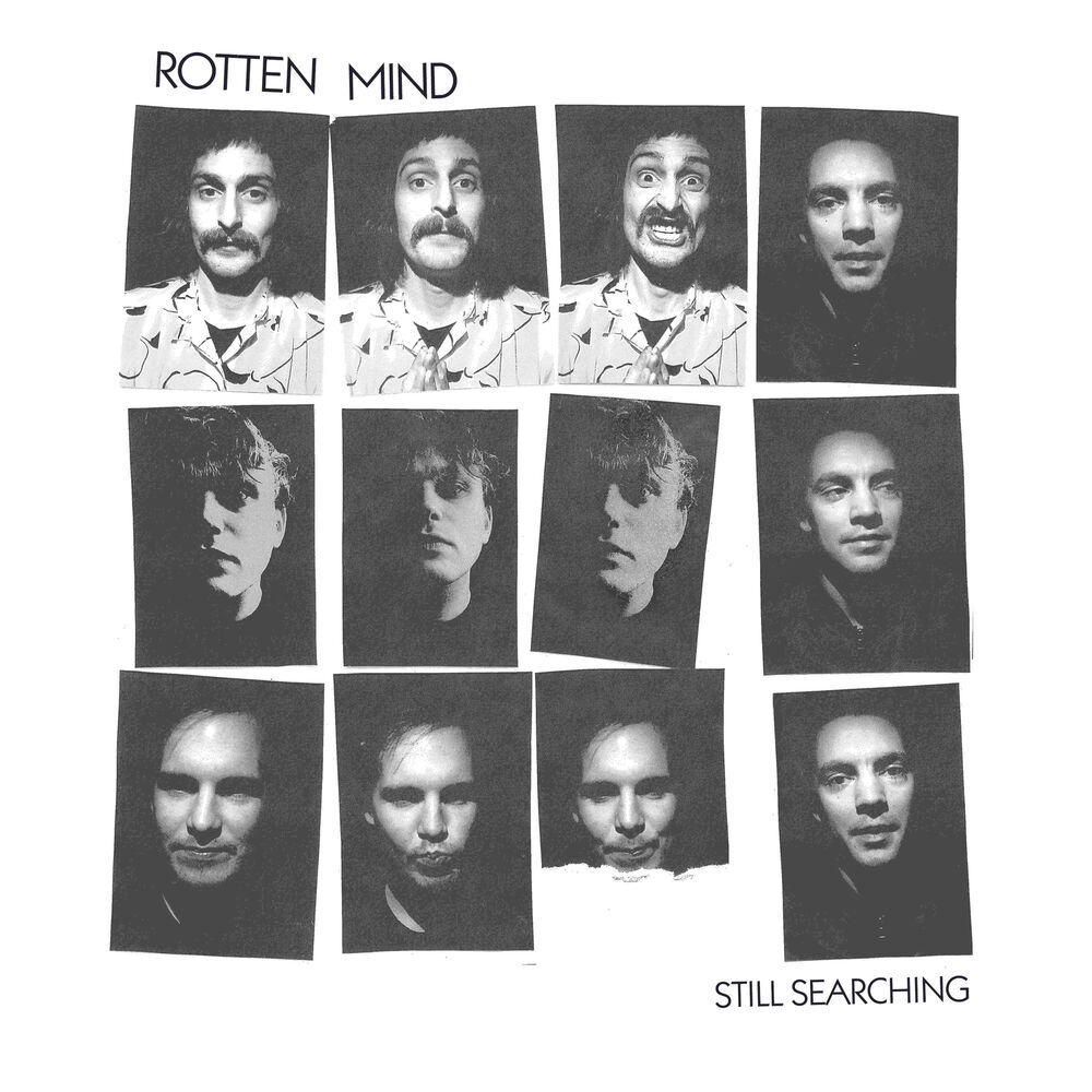 Picture of Still Searching