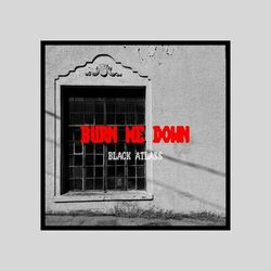 Cover of Burn Me Down