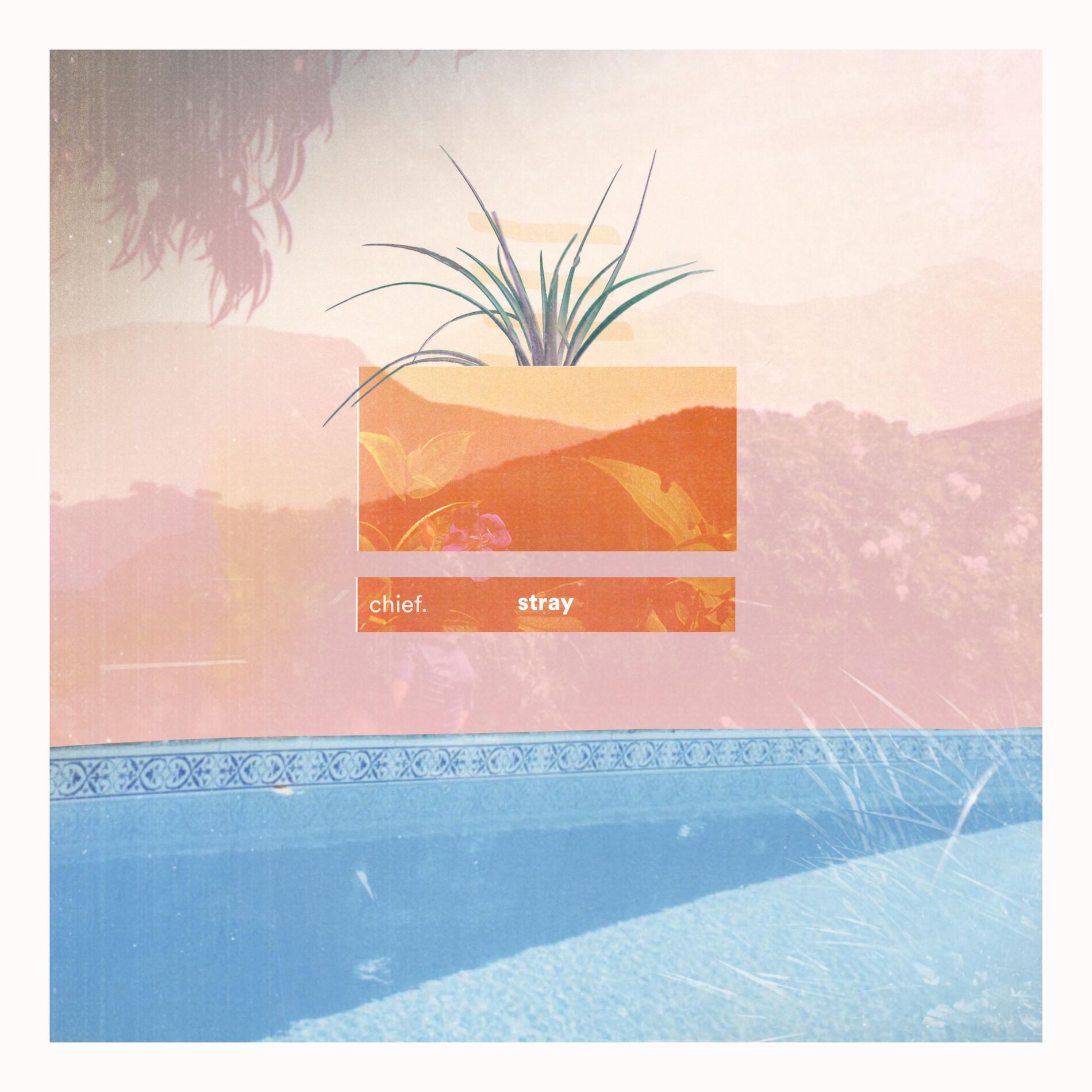 Album cover of Stray