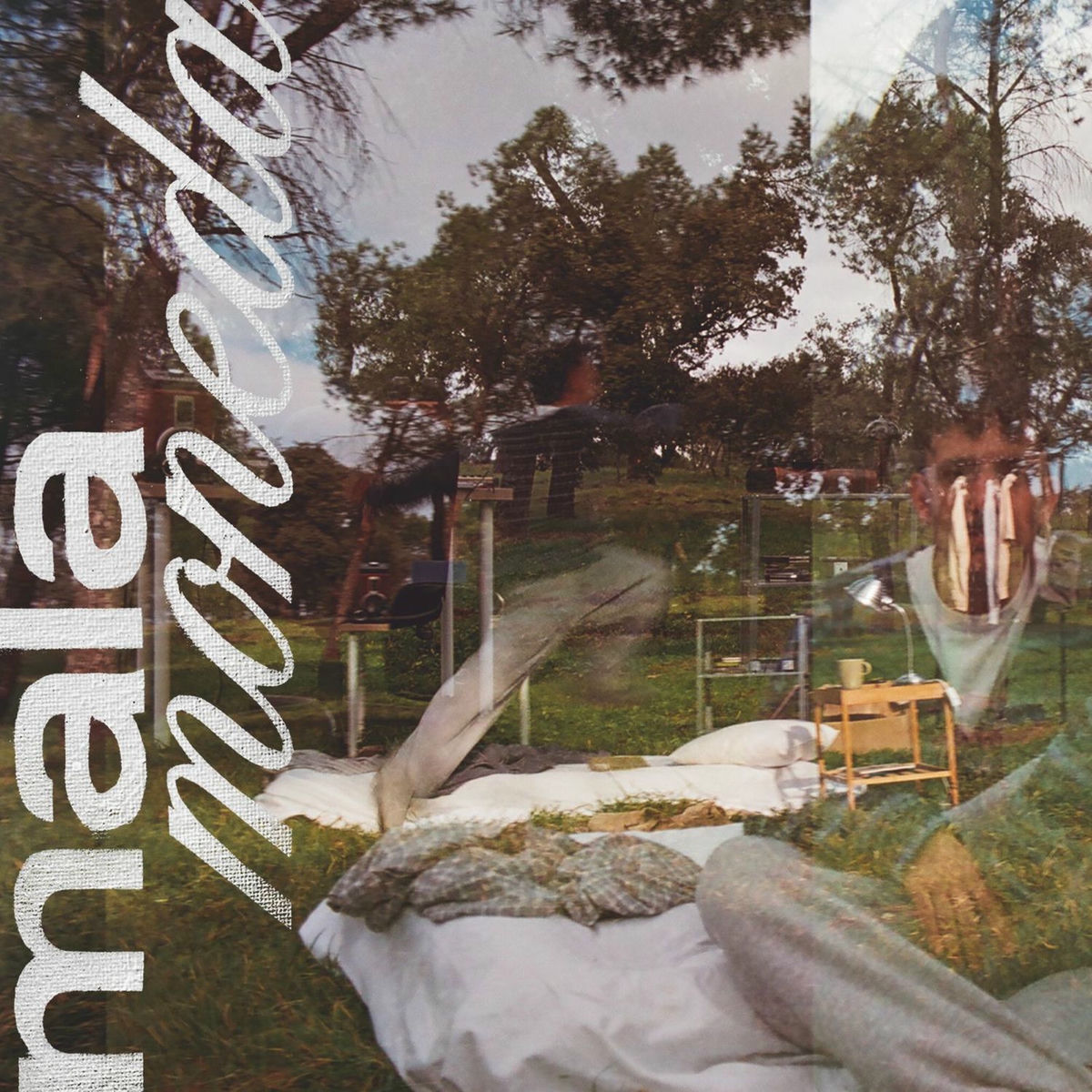 Album cover of malamoneda