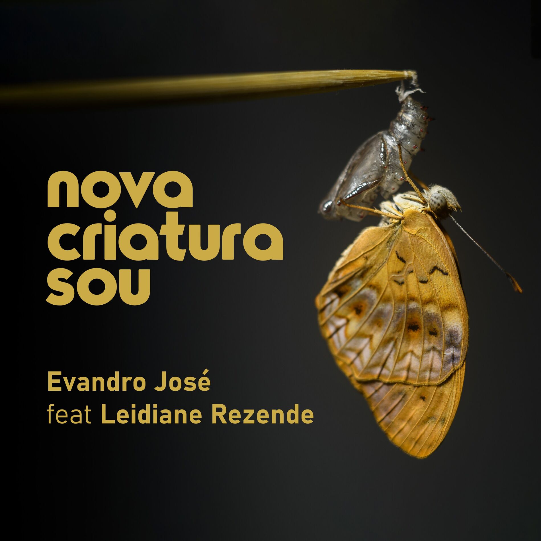 Album cover of Nova Criatura Sou