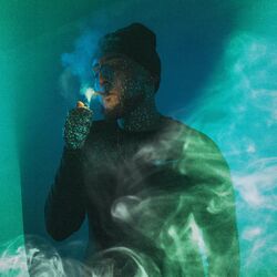 Cover of 333