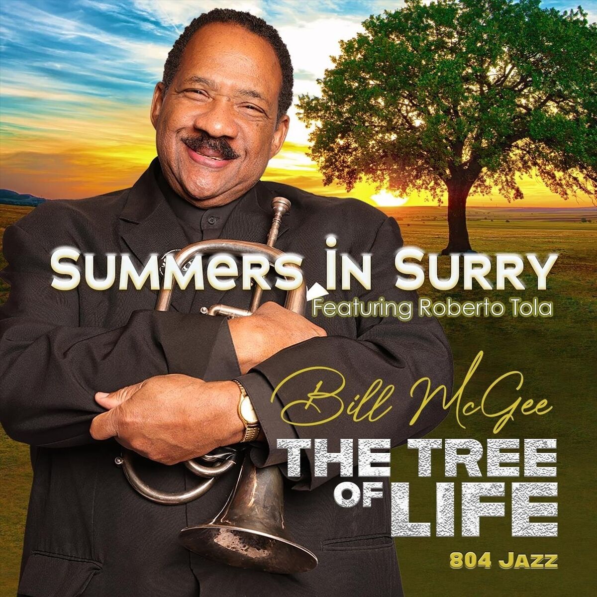 Album cover of Summers in Surry